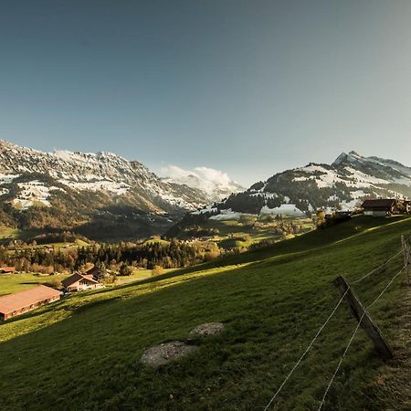 Chalet Bergwelt Frutigen Exteriér fotografie